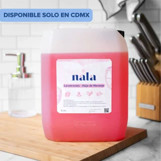 Lavatrastes - Hoja de Naranja