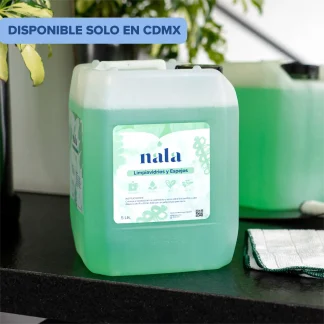 Limpia Vidrios y Espejos