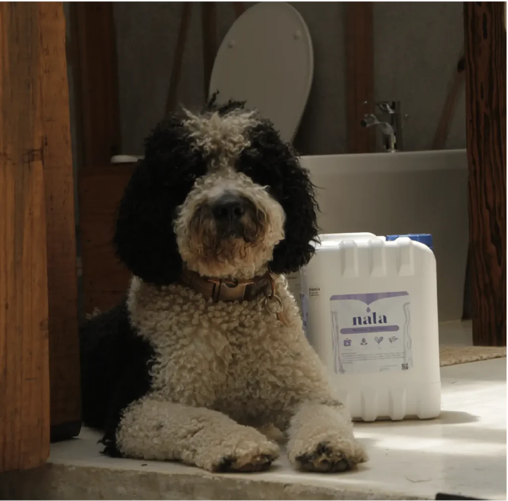 Limpieza con propósito: cómo Nala combina productos biodegradables y cruelty-free mesa de trabajo 1nala01 (2)